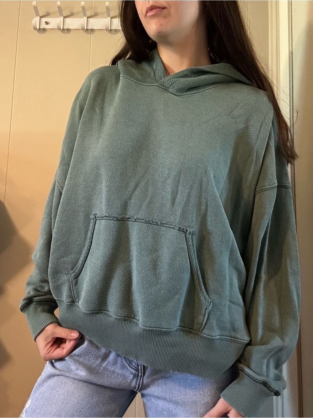 American Eagle Outfitters Dusty Green Washed Hoodie